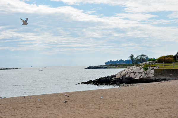 New Haven Harbor beachfront
